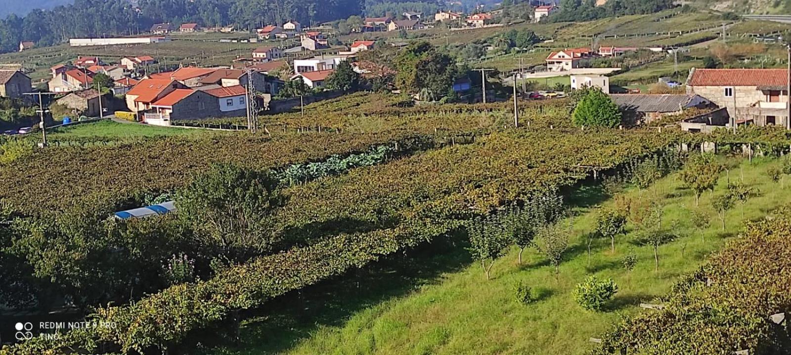 מלון Meaño Casa Rodino מראה חיצוני תמונה
